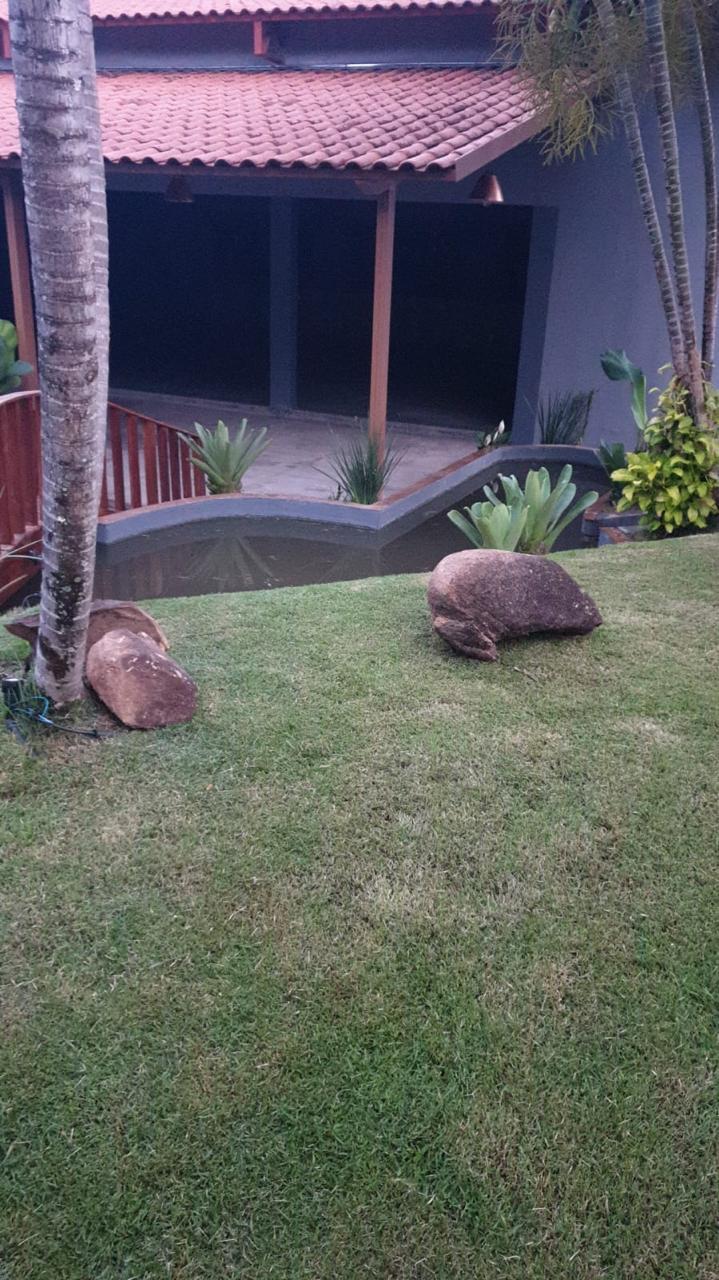 Jardim iluminado à noite